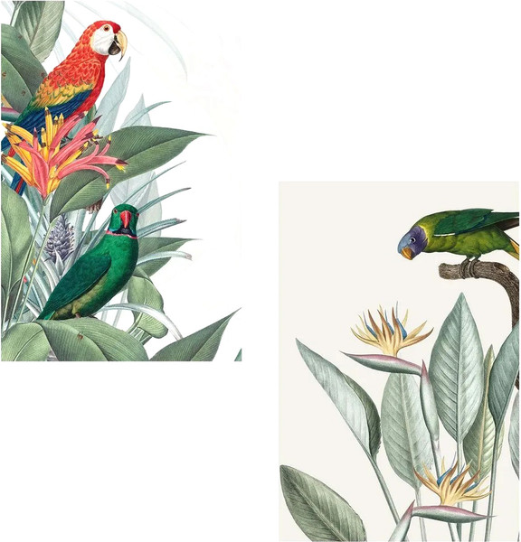 Изображение товара Постеры Citydecor Попугайчики 6 (2шт, 40x60)