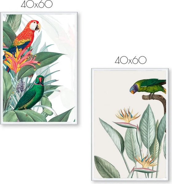 Изображение товара Постеры Citydecor Попугайчики 6 (2шт, 40x60)