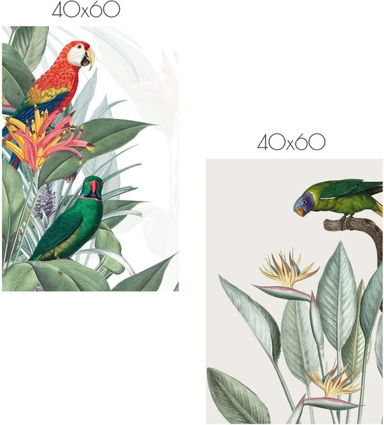 Изображение товара Постеры Citydecor Попугайчики 6 (2шт, 40x60)