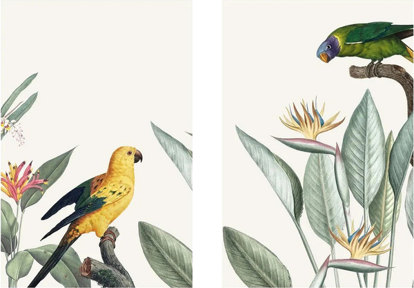 Изображение товара Постеры Citydecor Попугайчики 7 (2шт, 40x60)