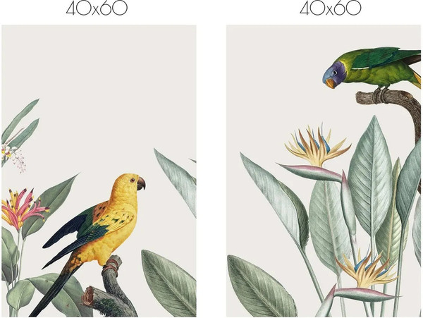 Изображение товара Постеры Citydecor Попугайчики 7 (2шт, 40x60)