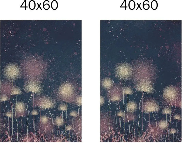 Изображение товара Постеры Citydecor Невесомость 18 (2шт, 40x60)