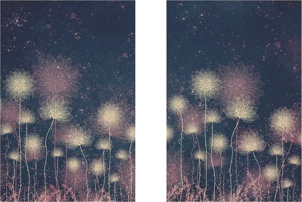 Изображение товара Постеры Citydecor Невесомость 18 (2шт, 40x60)