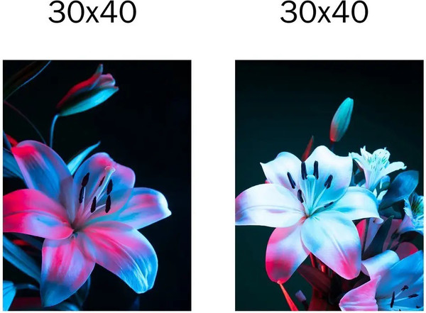 Изображение товара Постеры Citydecor Цветы 17 (2шт, 30x40)