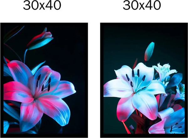 Изображение товара Постеры Citydecor Цветы 17 (2шт, 30x40)