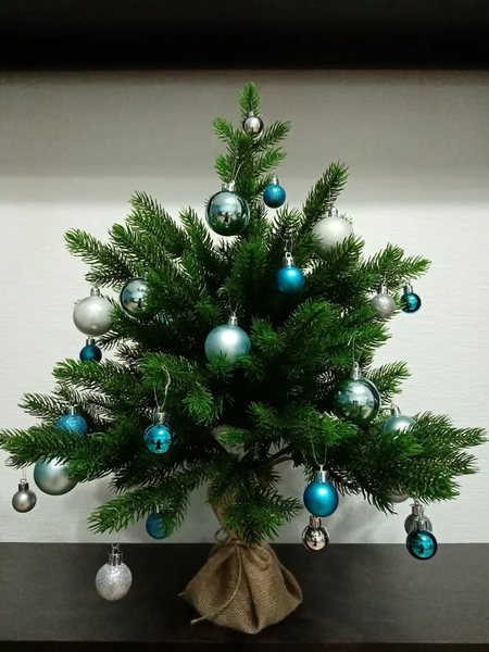 Изображение товара Ель искусственная National Tree Company Грация Премиум 3D / ГР/ПР-60 (60см)