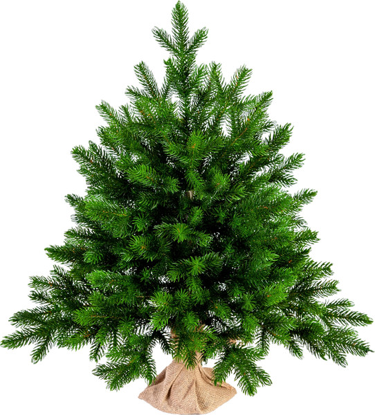 Изображение товара Ель искусственная National Tree Company Грация Премиум 3D / ГР/ПР-60 (60см)