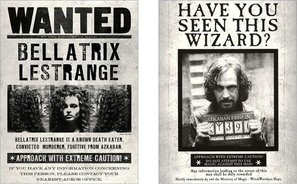 Изображение товара Постеры Citydecor Гарри Поттер 9 (2шт, 30x40)