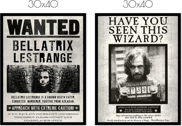 Изображение товара Постеры Citydecor Гарри Поттер 9 (2шт, 30x40)