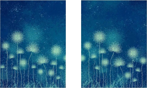 Изображение товара Постеры Citydecor Невесомость 12 (2шт, 30x40)