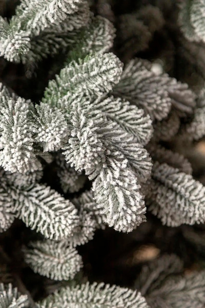 Изображение товара Ель искусственная GreenTerra Северия (1.8м)