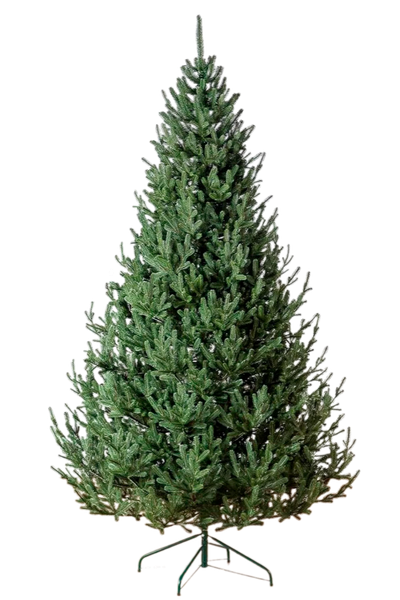 Изображение товара Ель искусственная GreenTerra Элоди (2.1м)