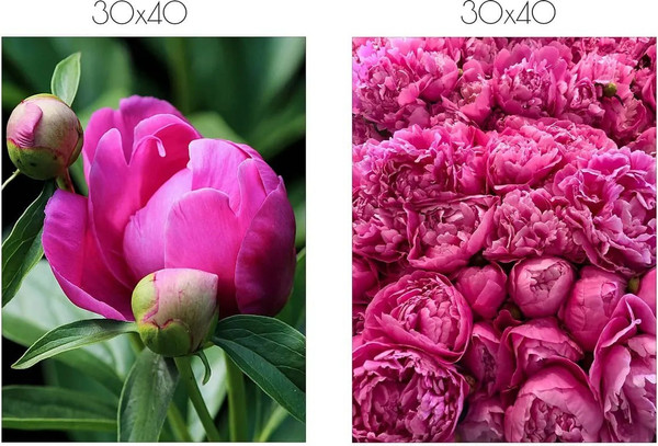 Изображение товара Постеры Citydecor Пионы 2 (2шт, 30x40)