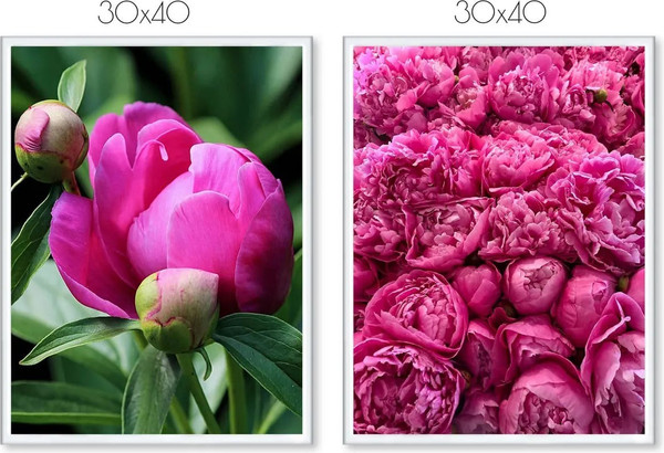 Изображение товара Постеры Citydecor Пионы 2 (2шт, 30x40)