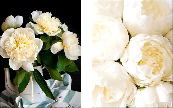 Изображение товара Постеры Citydecor Пионы 7 (2шт, 30x40)