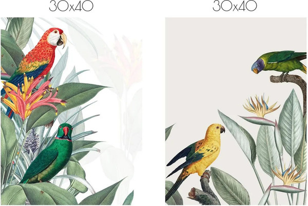 Изображение товара Постеры Citydecor Попугайчики 4 (2шт, 30x40)