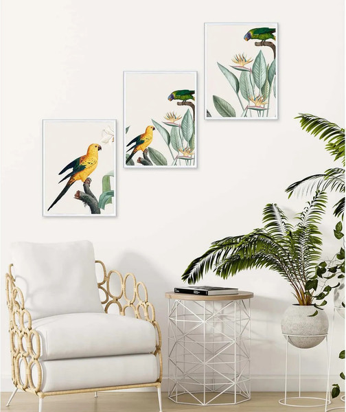 Изображение товара Постеры Citydecor Попугайчики 5 (3шт, 30x40)