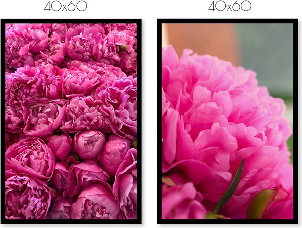 Изображение товара Постеры Citydecor Пионы 5 (2шт, 40x60)