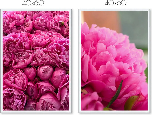 Изображение товара Постеры Citydecor Пионы 5 (2шт, 40x60)