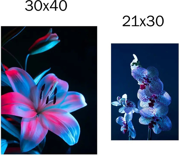 Изображение товара Постеры Citydecor Цветы 22 (2шт)