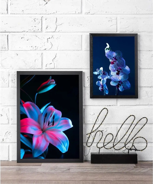 Изображение товара Постеры Citydecor Цветы 22 (2шт)