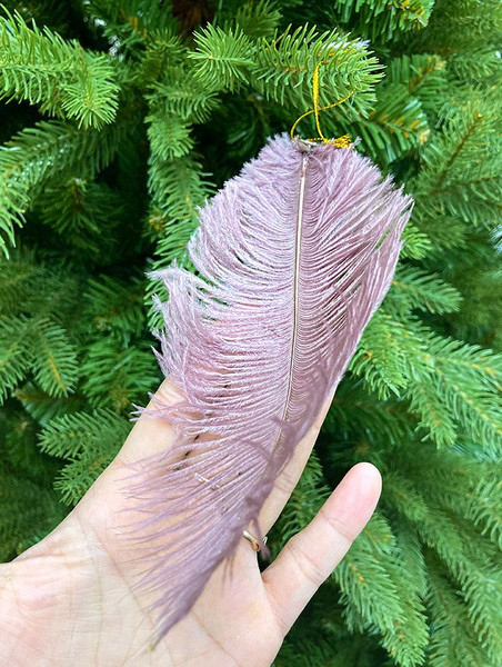 Изображение товара Елочная игрушка Shishi Перо / 48073 (15см, розовый)