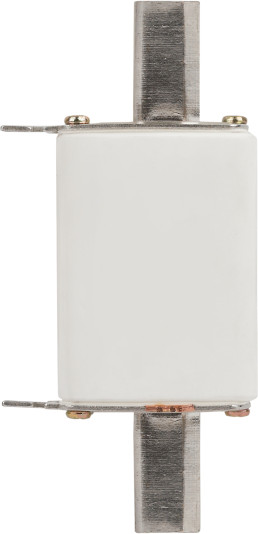 Изображение товара Предохранитель плавкий ЭРА Pro ppn-33-0-160 ППН-33 / Б0064004