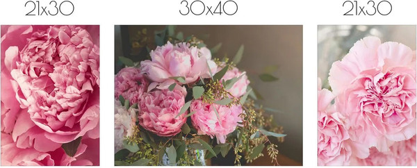Изображение товара Постеры Citydecor Пионы 4 (3шт)