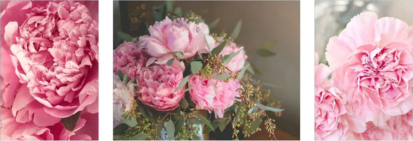 Изображение товара Постеры Citydecor Пионы 4 (3шт)