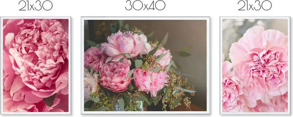 Изображение товара Постеры Citydecor Пионы 4 (3шт)