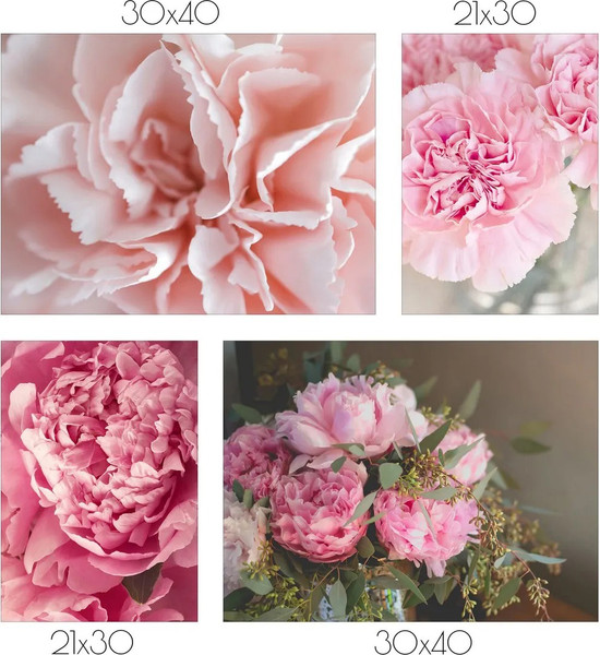 Изображение товара Постеры Citydecor Пионы 8 (3шт)