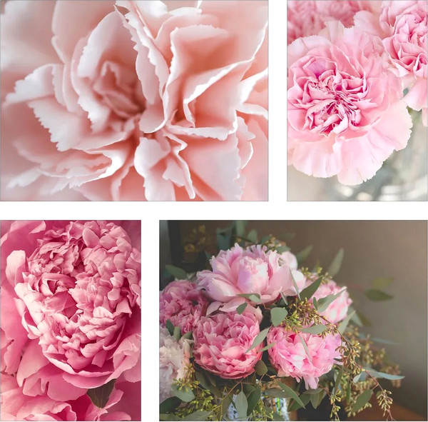 Изображение товара Постеры Citydecor Пионы 8 (3шт)