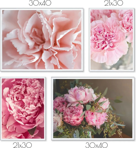 Изображение товара Постеры Citydecor Пионы 8 (3шт)