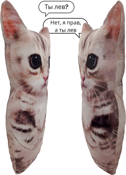 Изображение товара Подушка декоративная Malvina Кот Мем / 9.432.1 (серый)