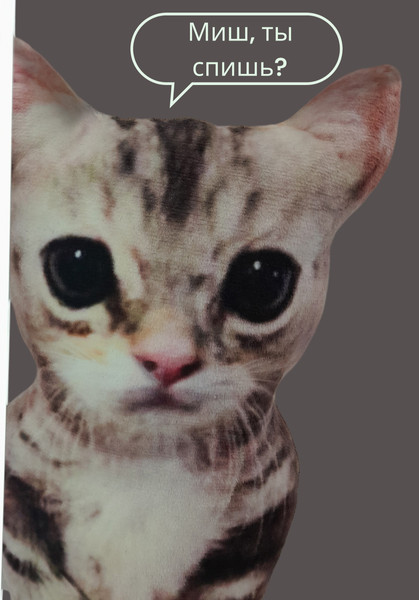 Изображение товара Подушка декоративная Malvina Кот Мем / 9.432.1 (серый)