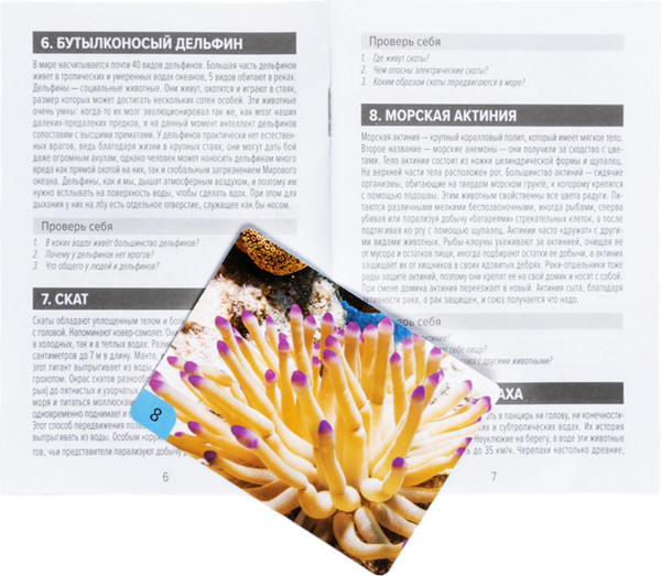 Изображение товара Настольная игра Десятое королевство Мемо Водный мир / 04987