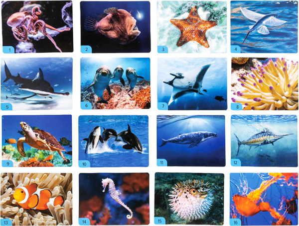 Изображение товара Настольная игра Десятое королевство Мемо Водный мир / 04987