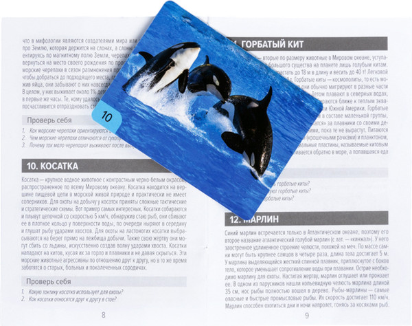 Изображение товара Настольная игра Десятое королевство Мемо Водный мир / 04987