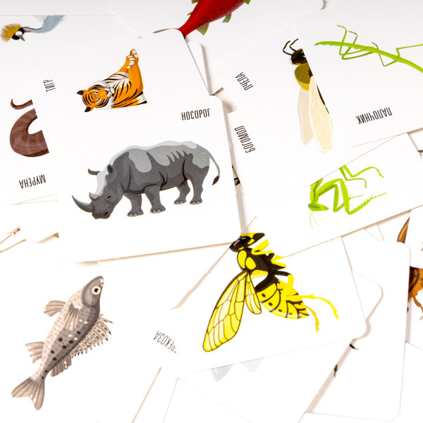 Изображение товара Сортер Десятое королевство Животные, птицы, рыбы, насекомые / 04869