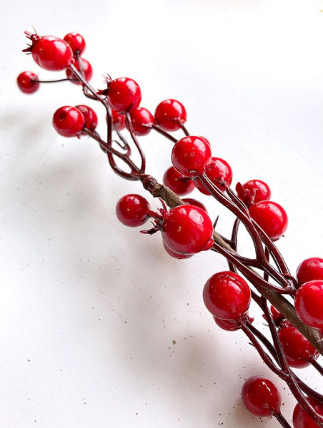 Изображение товара Ветка новогодняя Geliu sala Шиповника / 21LJ-153 (50см)