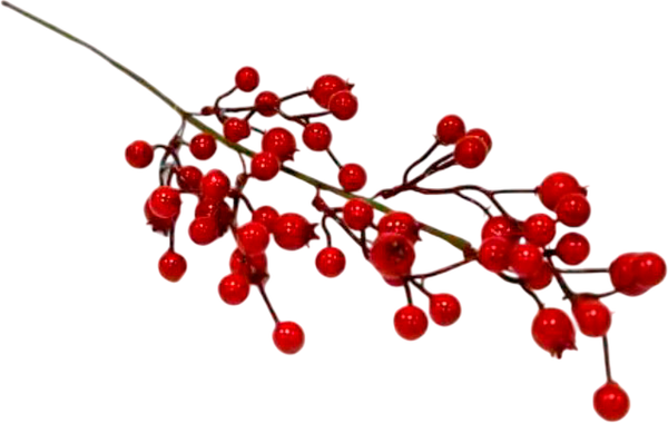 Изображение товара Ветка новогодняя Geliu sala Шиповника / 21LJ-153 (50см)