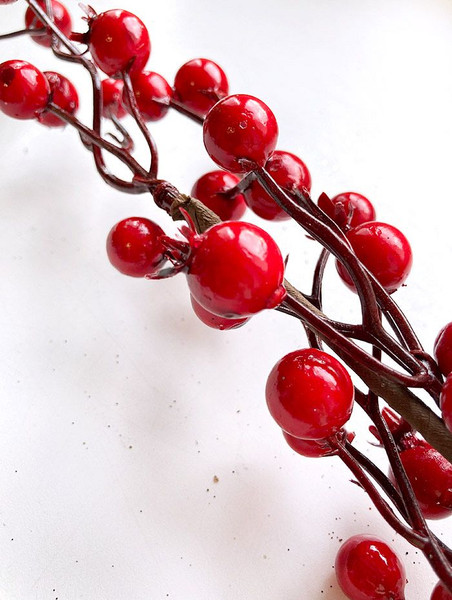 Изображение товара Ветка новогодняя Geliu sala Шиповника / 21LJ-153 (50см)