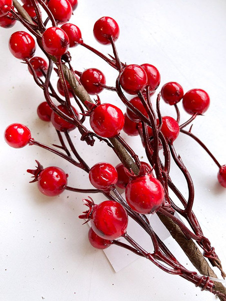 Изображение товара Ветка новогодняя Geliu sala Шиповника / 21LJ-153 (50см)