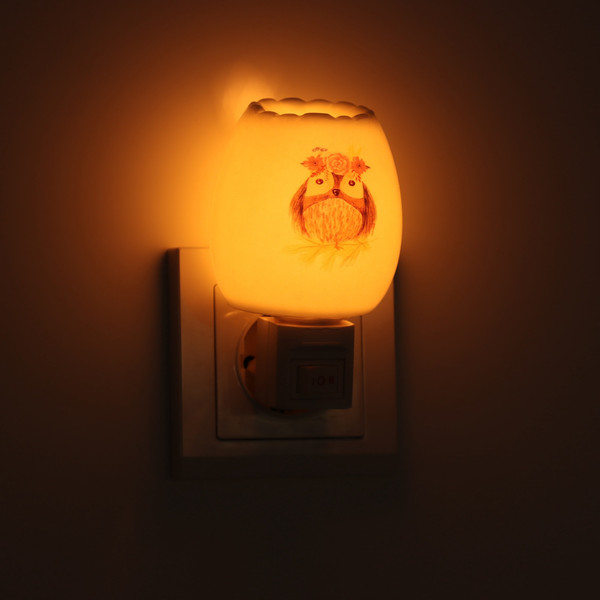 Изображение товара Ночник Risalux Тетушка сова / 10553439 (белый)