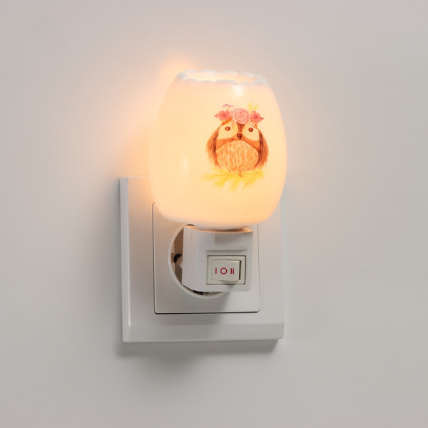 Изображение товара Ночник Risalux Тетушка сова / 10553439 (белый)