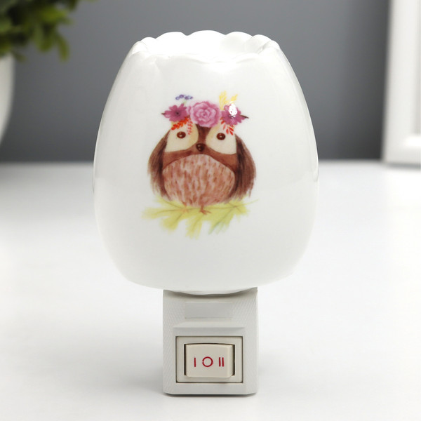 Изображение товара Ночник Risalux Тетушка сова / 10553439 (белый)