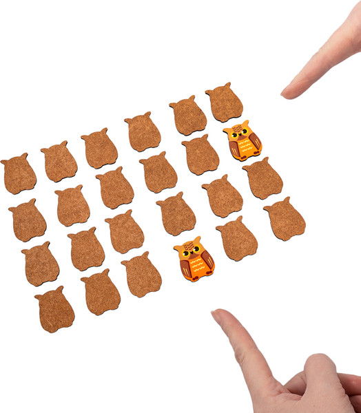 Изображение товара Развивающая игра Десятое королевство Far far land wood Мемо Совы / 05200