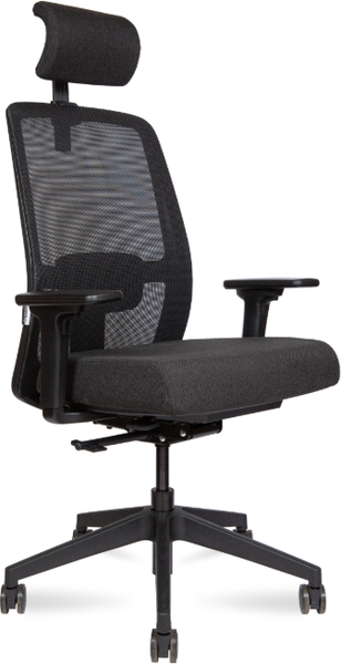 Изображение товара Кресло офисное Norden Altai SL / EQ-9930-BLACK-L (черный)