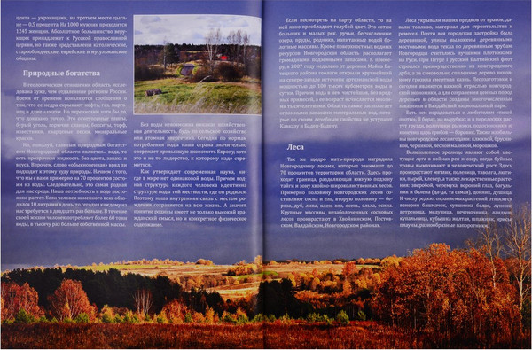 Изображение товара Нехудожественная книга Вече Путешествия по земле Новгородской / 9785448418044 (Смирнов Виктор)