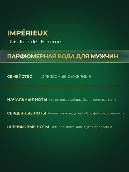 Изображение товара Парфюмерная вода Dilis Parfum Jour de l'Homme Imperieux (100мл)